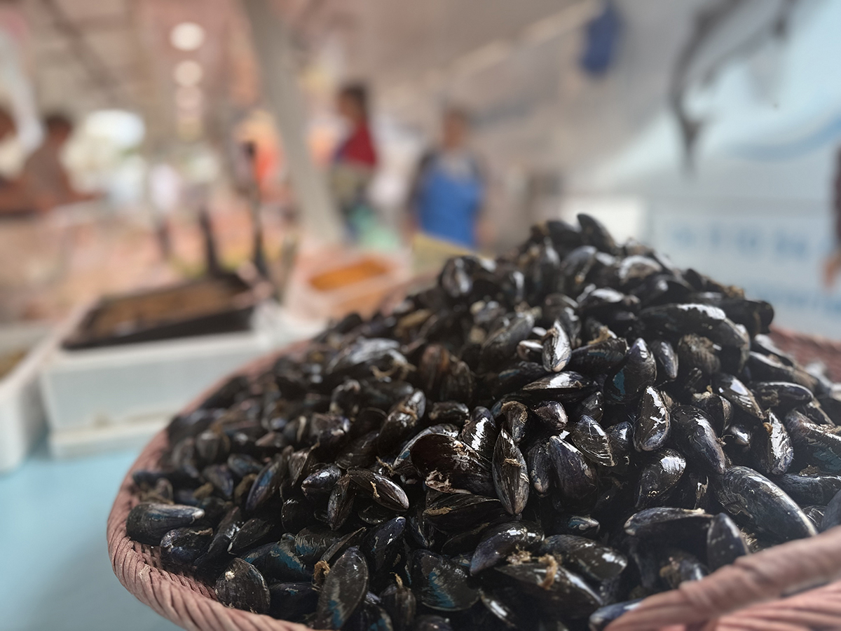 Moules