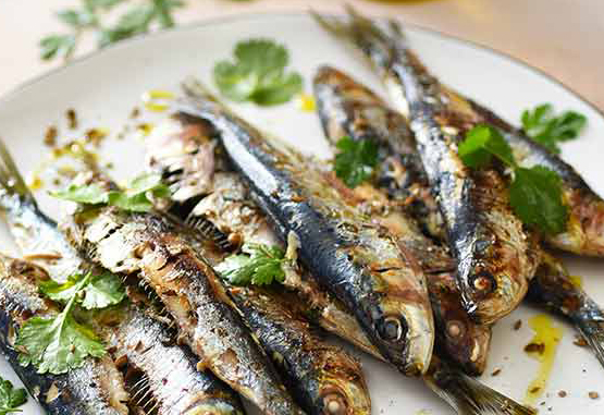 Sardines